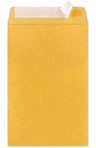 Size #2 (9"x12" Interior) Kraft GOLD Envelopes with Self Seal (No bubble lining)