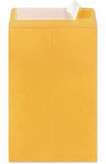 (6"x9" Interior) Kraft GOLD Envelopes with Self Seal (No bubble lining)